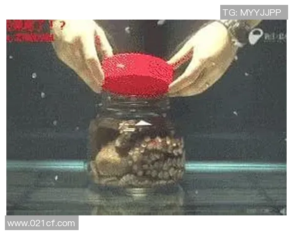 足球明星挑战极限饮食:勇吃章鱼展现独特勇气与挑战精神