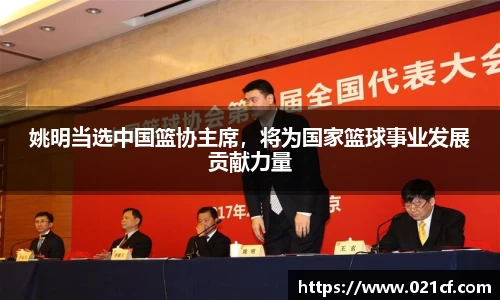 中欧体育平台