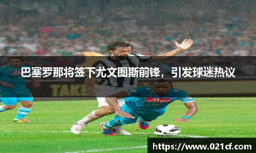 中欧体育