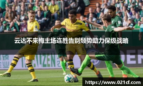 中欧体育平台